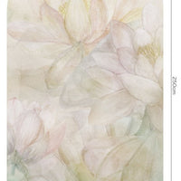 Spring – Tapeta Łuk Standard