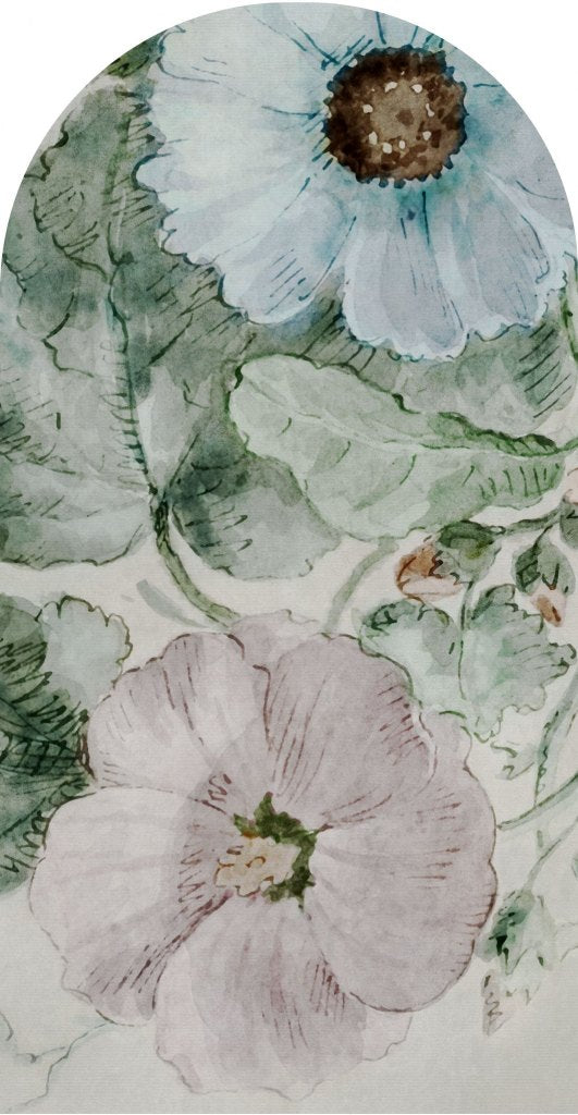 Symphony – Tapeta Łuk Standard