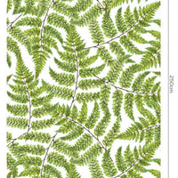 Jurrasic – Tapeta Łuk Standard