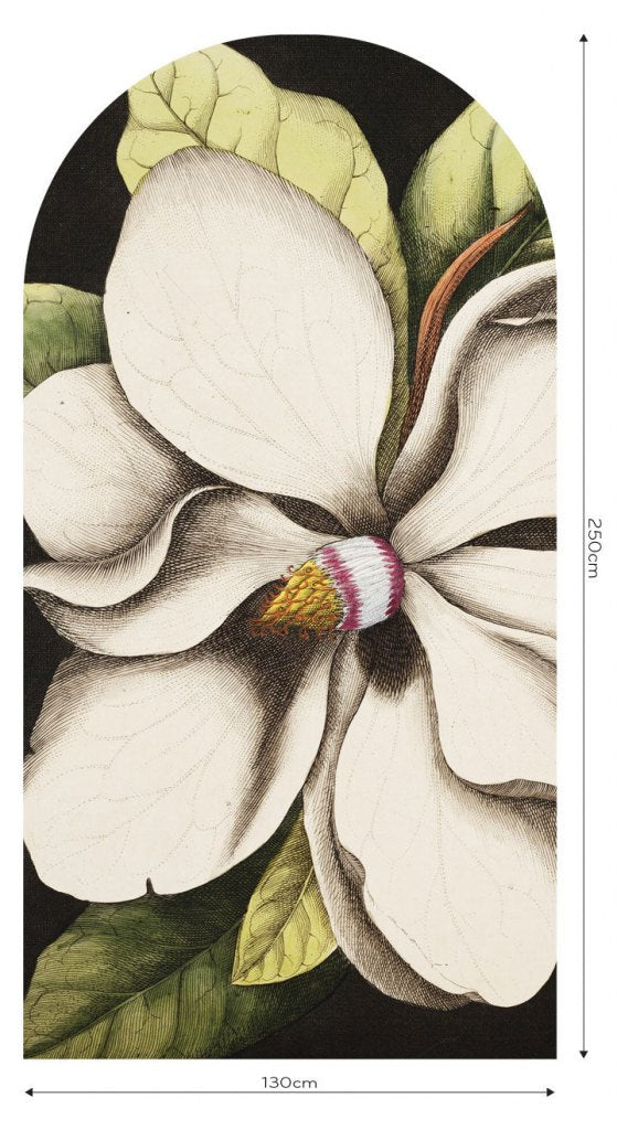 Laurel – Tapeta Łuk Standard