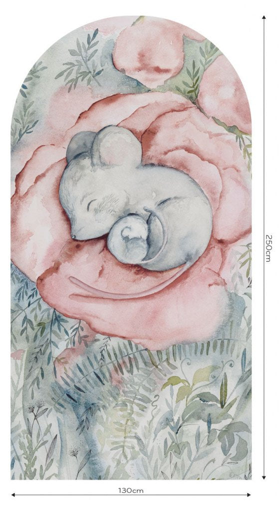 Little Nap – Tapeta Łuk Standard