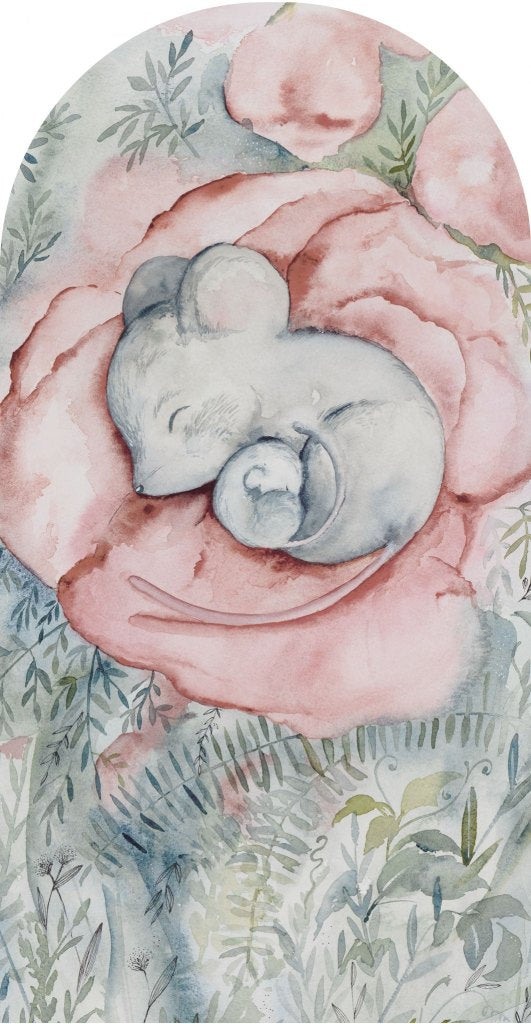 Little Nap – Tapeta Łuk Standard