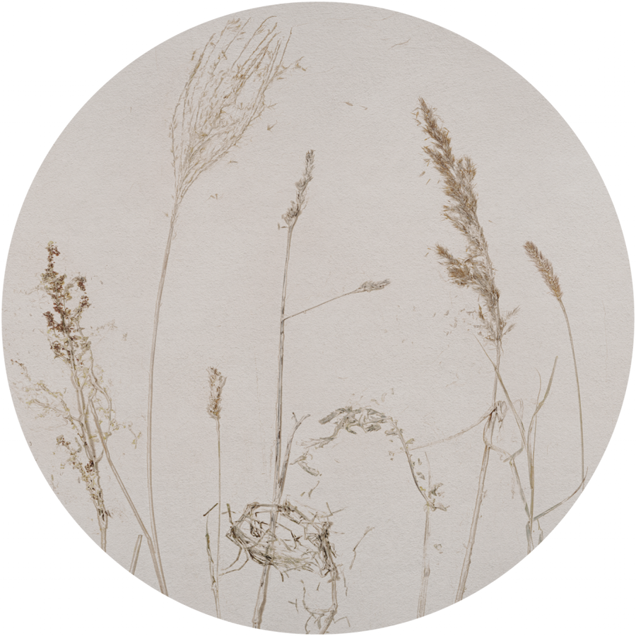 downscaled_pattern_file