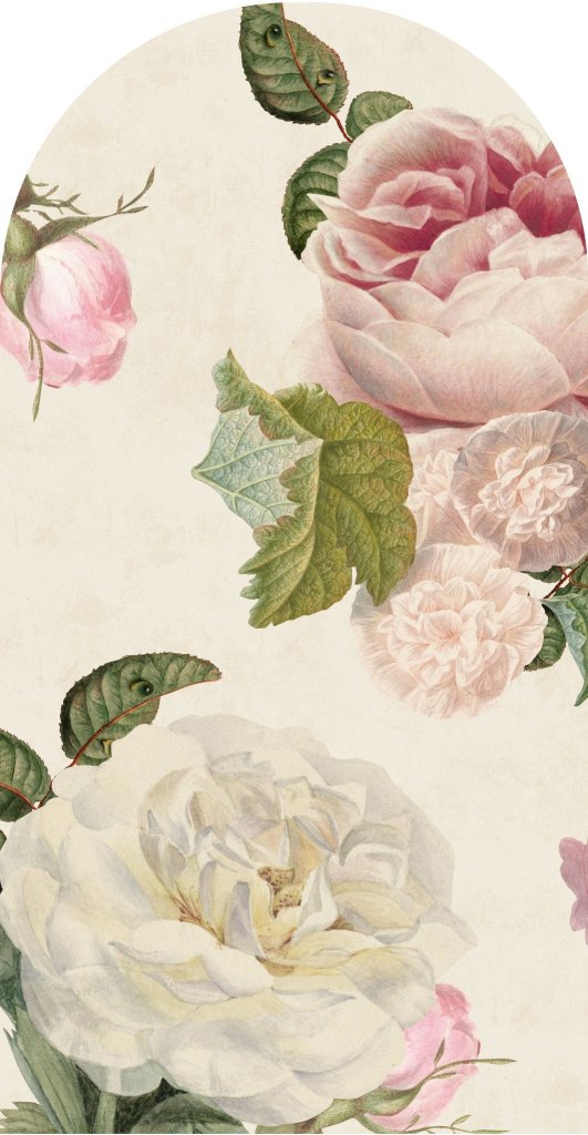 Roses Cream – Tapeta Łuk Standard