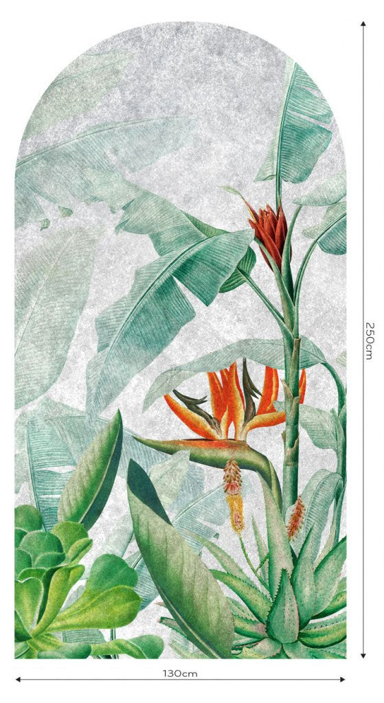 Rainforest Vivid – Tapeta Łuk Standard