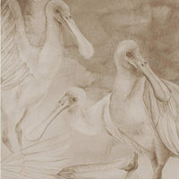 Ajaja Beige – Tapeta Łuk Standard