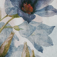 Antlia – Tapeta Łuk Standard