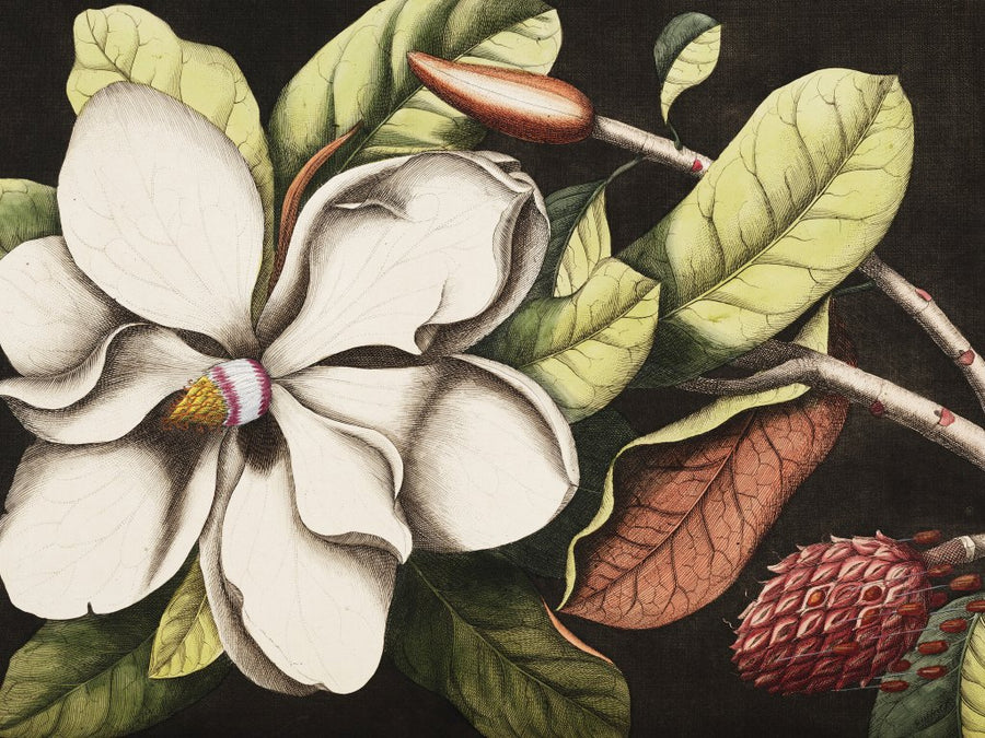 downscaled_pattern_file