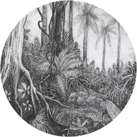 Ness – Tapeta Koło Standard