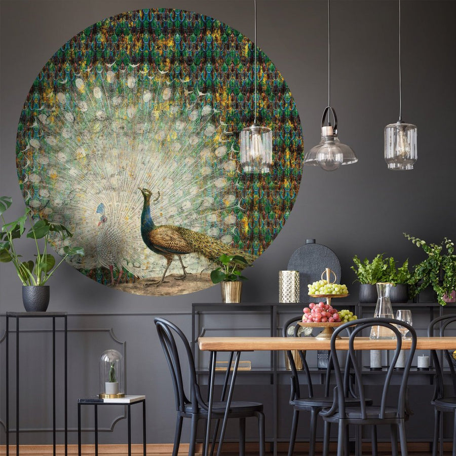 Peacock – Tapeta Koło Standard
