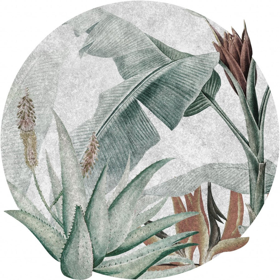 Rainforest – Tapeta Koło Standard