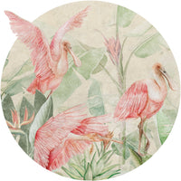 Rainforest Ajaja – Tapeta Koło Standard