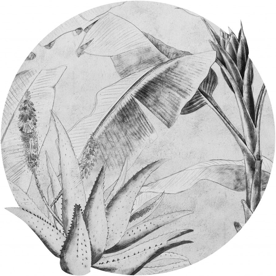 Rainforest Sketch – Tapeta Koło Standard